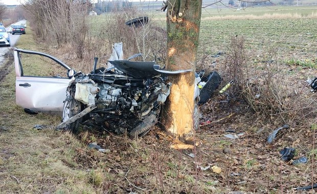 19-latek prawo jazdy miał zaledwie dwa miesiące. Tragedia w Lubelskiem 