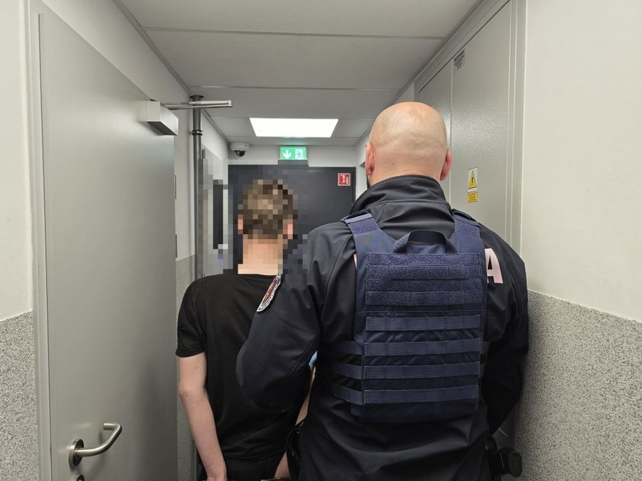 19-latek trafił do aresztu, fot. https://olesnica.policja.gov.pl /