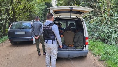 20 cudzoziemców nielegalnie przekroczyło granicę