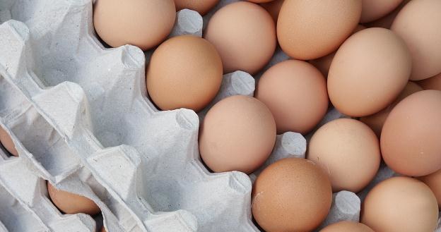 20 procent hodowców nie może sprzedawać jaj! /&copy; Bauer