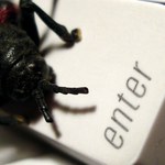 20 urodziny pierwszego internetowego robaka