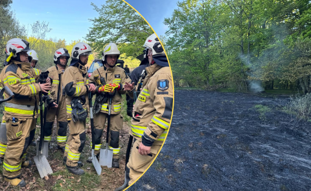 20 zastępów w akcji. Duży pożar przy granicy polsko-słowackiej