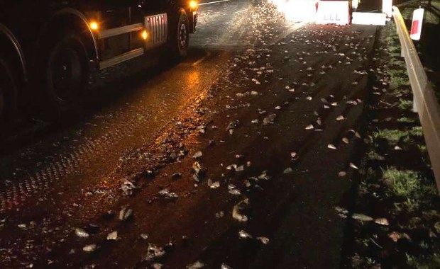 200 kg śmierdzących ryb zablokowało S6