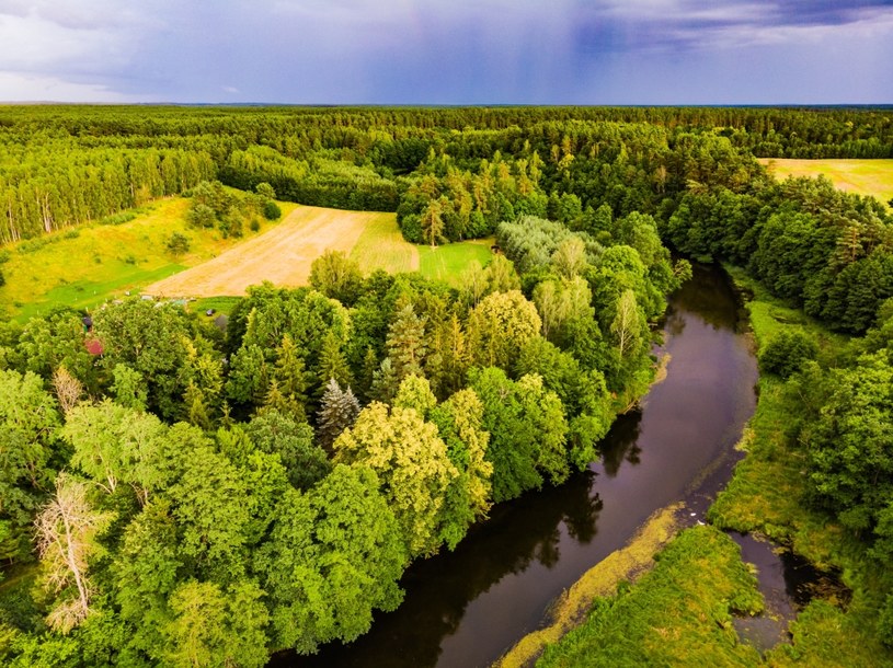 200 organizacji społecznych zajmujących się ochroną środowiska wystosowały wspólny list otwarty do zwycięskiej opozycji. /123RF/PICSEL