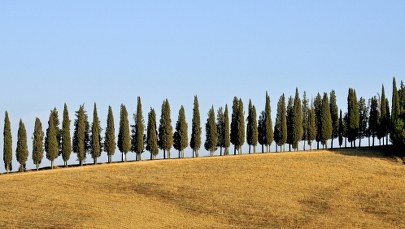 2018 najgorętszym rokiem we Włoszech od 1800 r.