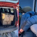 marihuana 21 kg marihuany w wynajętym samochodzie. CBŚP w akcji