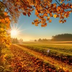 22 września będzie wyjątkowy. Dzień, w którym noc równa się z dniem