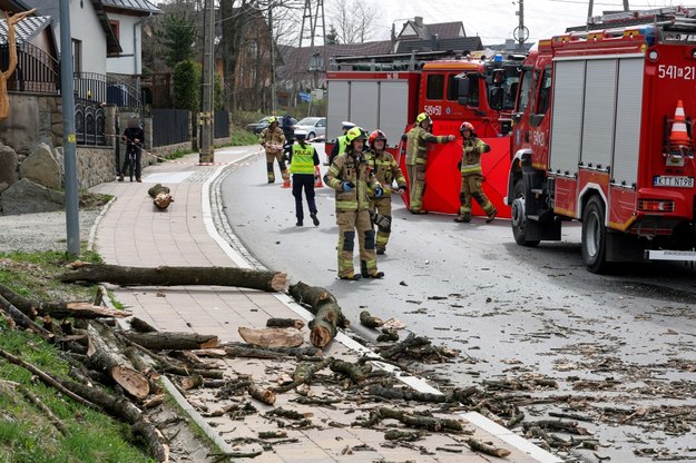 23-latka zginęła w wyniku uderzenia drzewa w samochód na zakopiańskiej Olczy /Grzegorz Momot /PAP