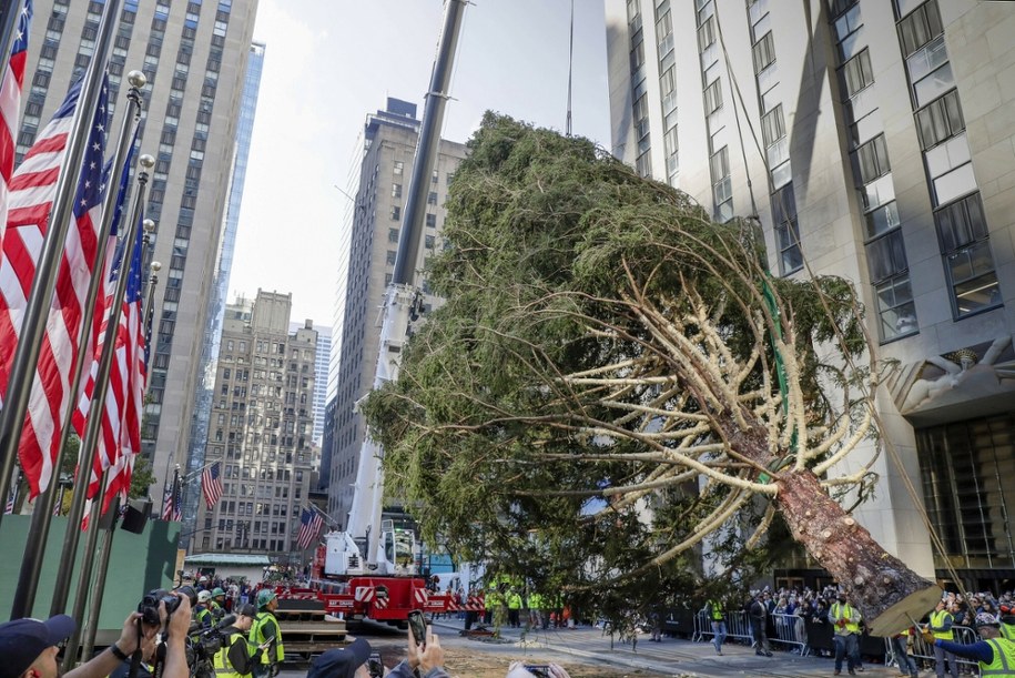 23-metrowa choinka w Rockefeller Center /Andrew Schwartz/SIPA /East News