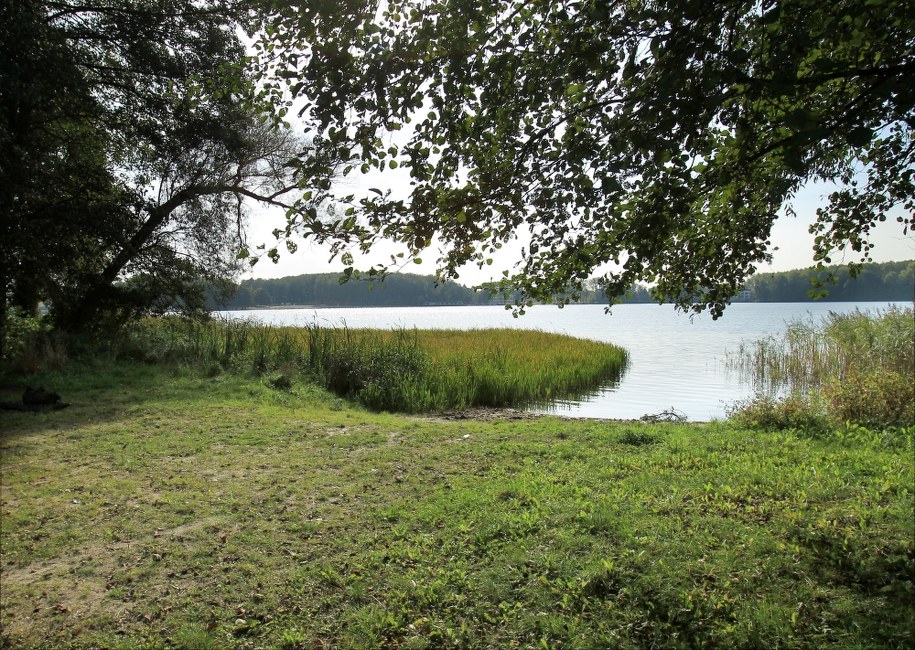 24- hektarowa, częściowo zalesiona działka nad jeziorem Ukiel (Krzywe) w Olsztynie, której zwrotu domagał się b. przesiedleniec Jan Bolewski, od 1978 r. mieszkający w Niemczech /Tomasz Waszczuk /PAP