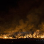 24 osoby skazane na śmierć za podpalanie lasów