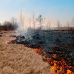 25 hektarów w ogniu. Dramatyczna walka z pożarem lasu i łąk
