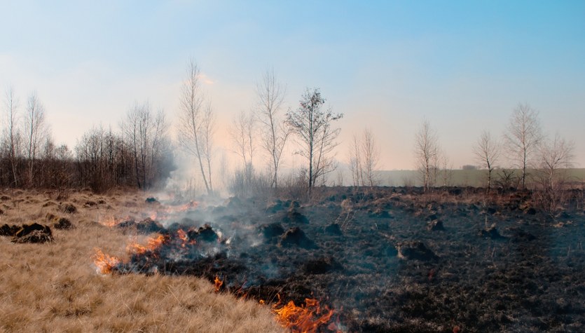 25 hektarów w ogniu. Dramatyczna walka z pożarem lasu i łąk