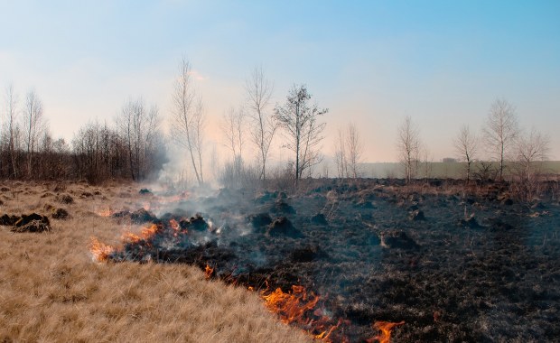 25 hektarów w ogniu. Dramatyczna walka z pożarem lasu i łąk