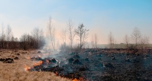 25 hektarów w ogniu. Dramatyczna walka z pożarem lasu i łąk