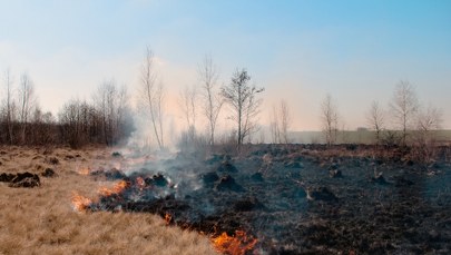 25 hektarów w ogniu. Dramatyczna walka z pożarem lasu i łąk