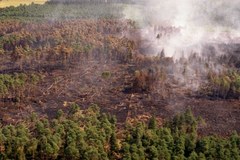 25 lat od największego pożaru lasu w Europie