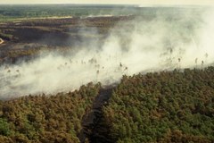 25 lat od największego pożaru lasu w Europie