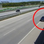 26 km pod prąd na A1. Kamery nagrały szokujące zachowanie kierowcy bmw