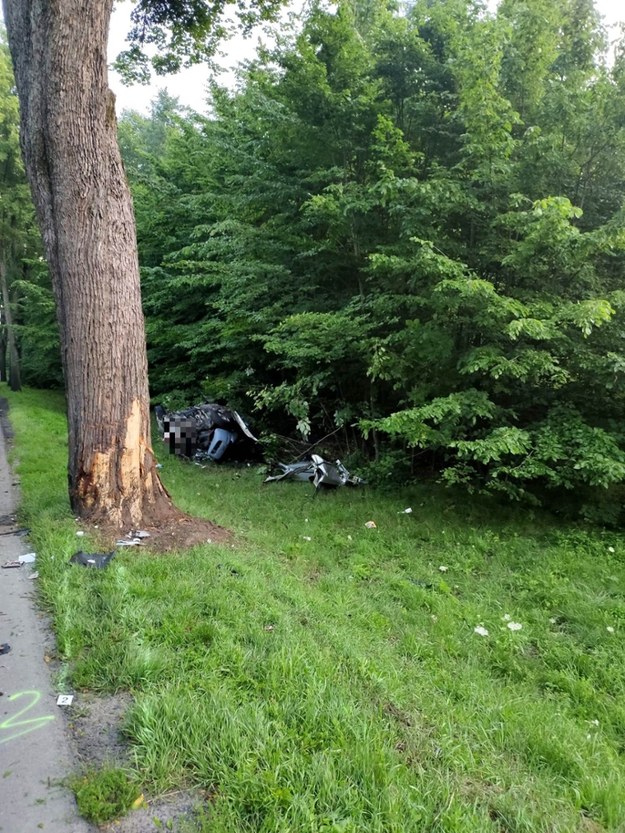26-letni kierowca skody zjechał z drogi na prostym odcinku i uderzył w przydrożne drzewo /Policja