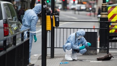 27-latek zatrzymany w Londynie mógł planować zamach