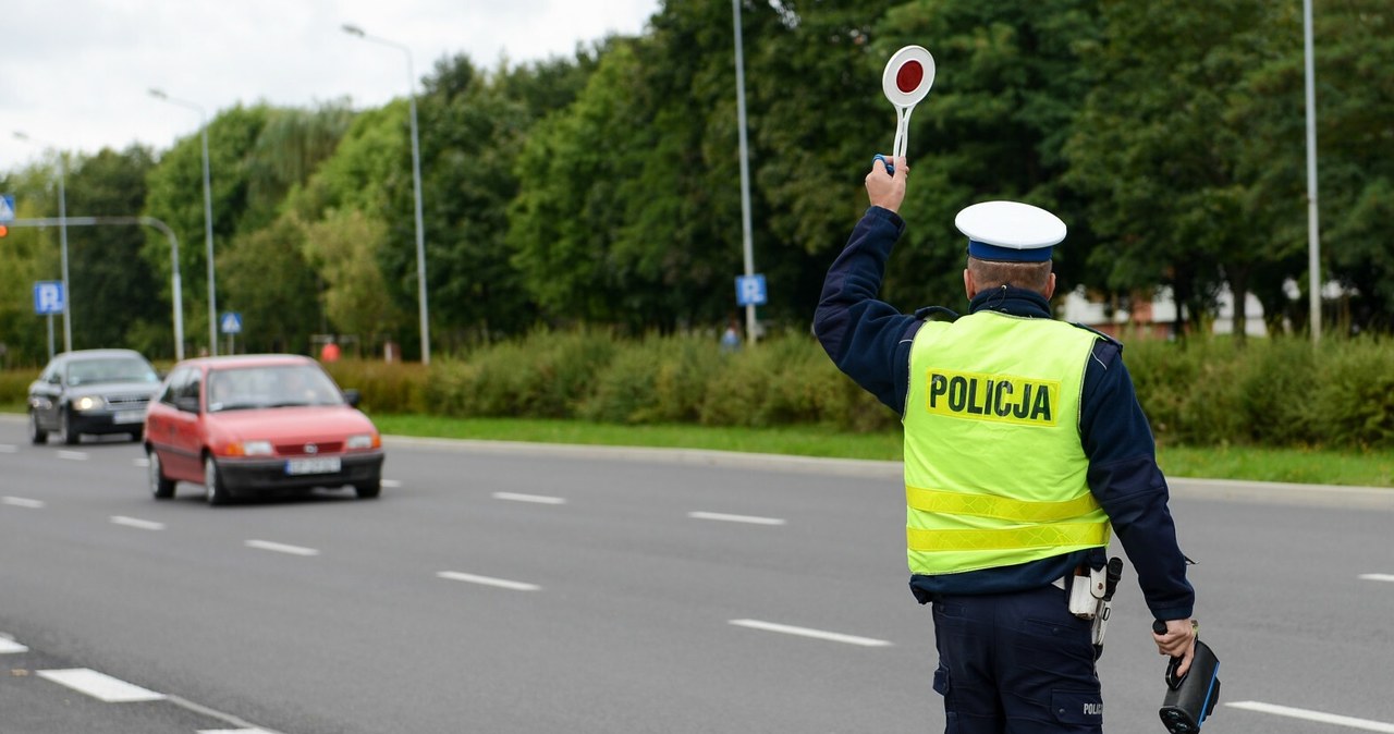 27 proc. badanych kierowców uważa, że przekraczanie prędkości o 30 km/h w terenie zabudowanym jest "bezpieczne" /Adam Staskiewicz/ /East News