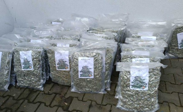 270 kg narkotyków o wartości 13 mln złotych. Służby rozbiły gang