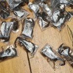 28-latek aresztowany na lotnisku. Miał w bagażu 150 jadowitych skorpionów