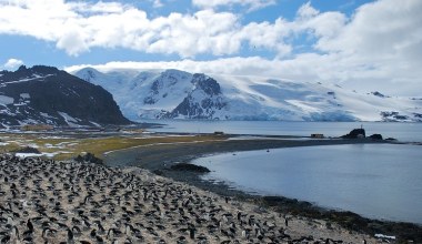 28 stycznia 1977 r. Rozpoczęto budowę polskiej stacji antarktycznej Arctowski