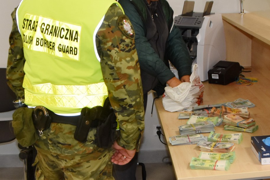 280 tysięcy dolarów oraz 80 tysięcy euro w gotówce próbowała przemycić do Polski 40-letnia Ukrainka /Straż Granicza /