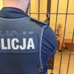 3,5 promila, 8-latek i pies w aucie. Świadek nie dopuścił do tragedii na Śląsku