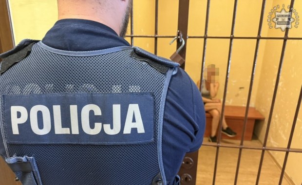 3,5 promila, 8-latek i pies w aucie. Świadek nie dopuścił do tragedii na Śląsku