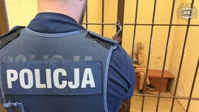 3,5 promila, 8-latek i pies w aucie. Świadek nie dopuścił do tragedii na Śląsku