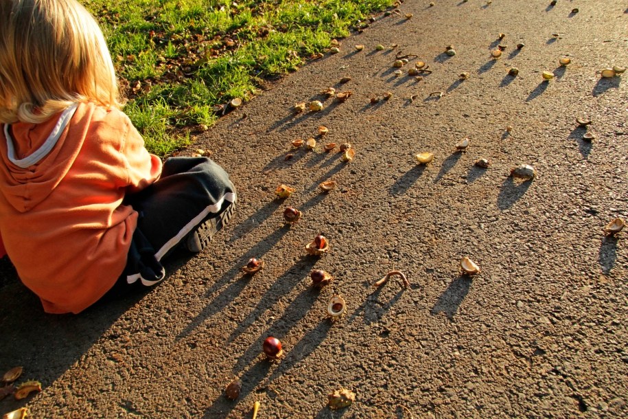 Wielkopolska: Trzylatek błąkał się po ruchliwej drodze