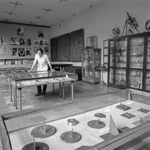 3 lutego 1962 r. Powstało Państwowe Muzeum im. Przypkowskich w Jędrzejowie