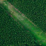 3 maja to ostatni dzień. Polska wykorzystała naturalne zasoby na 2025 r.