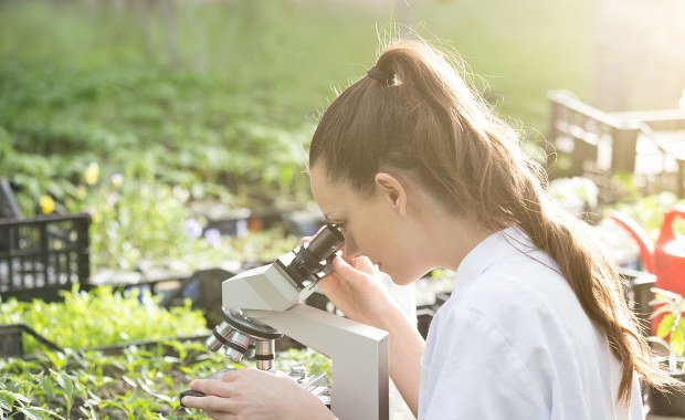3 rośliny, które działają jak antybiotyk. Zabijają bakterie, ale nie tylko… 