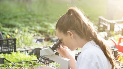 3 rośliny, które działają jak antybiotyk. Zabijają bakterie, ale nie tylko… 