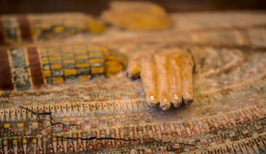30 sarkofagów z mumiami: Niezwykłe odkrycie w egipskim luksorze