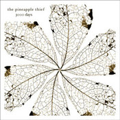 The Pineapple Thief: -3000 Days