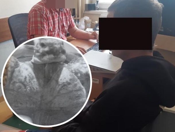 31-latek ukradł żółwia, potem wrócił z nim do sklepu po karmę /KSP /Policja