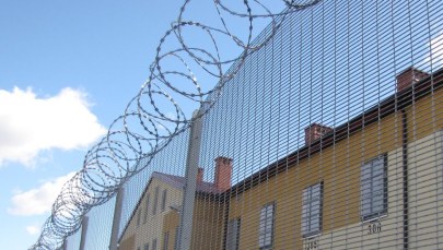 32-latek trafił do więzienia za zabicie psa. "Był tym zdziwiony"