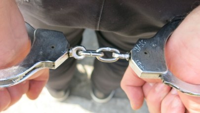 32-latek zatrzymany. Miał podpalać altany w Gdańsku