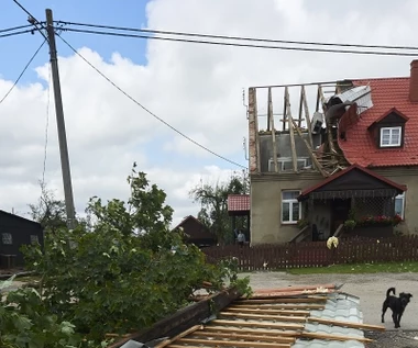33 tys. odbiorców bez prądu po burzach. "To był kataklizm bez precedensu"