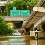 34 ciała w jeden rok i panika w mieście. Czy w Houston grasuje seryjny zabójca?