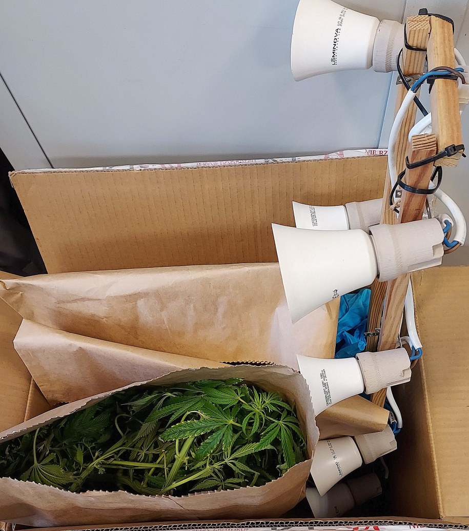 36-latek z Rawy Mazowieckiej uprawiał konopie w szafie /Policja