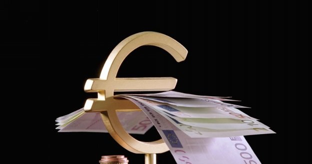 39 proc. ankietowanych uważa, że Polska powinna przyjąć euro najwcześniej w 2014 roku /AFP