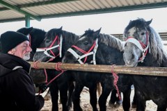 393. Jarmark Koński "Wstępy" w Skaryszewie