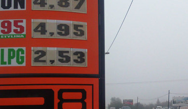 4.85 zł za litr  benzyny 95? Może więc podnieść podatki?