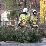 4 ofiary śmiertelne, ponad 20 tys. zdarzeń. Bilans wichur nad Polską